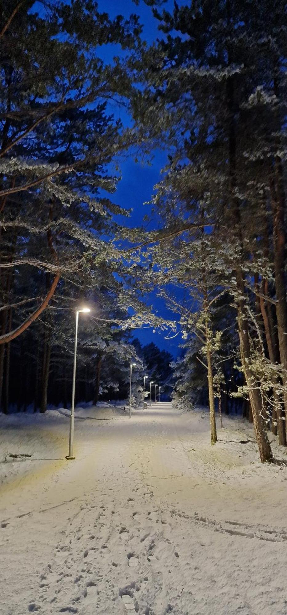 Rasos Vila Паланга Экстерьер фото